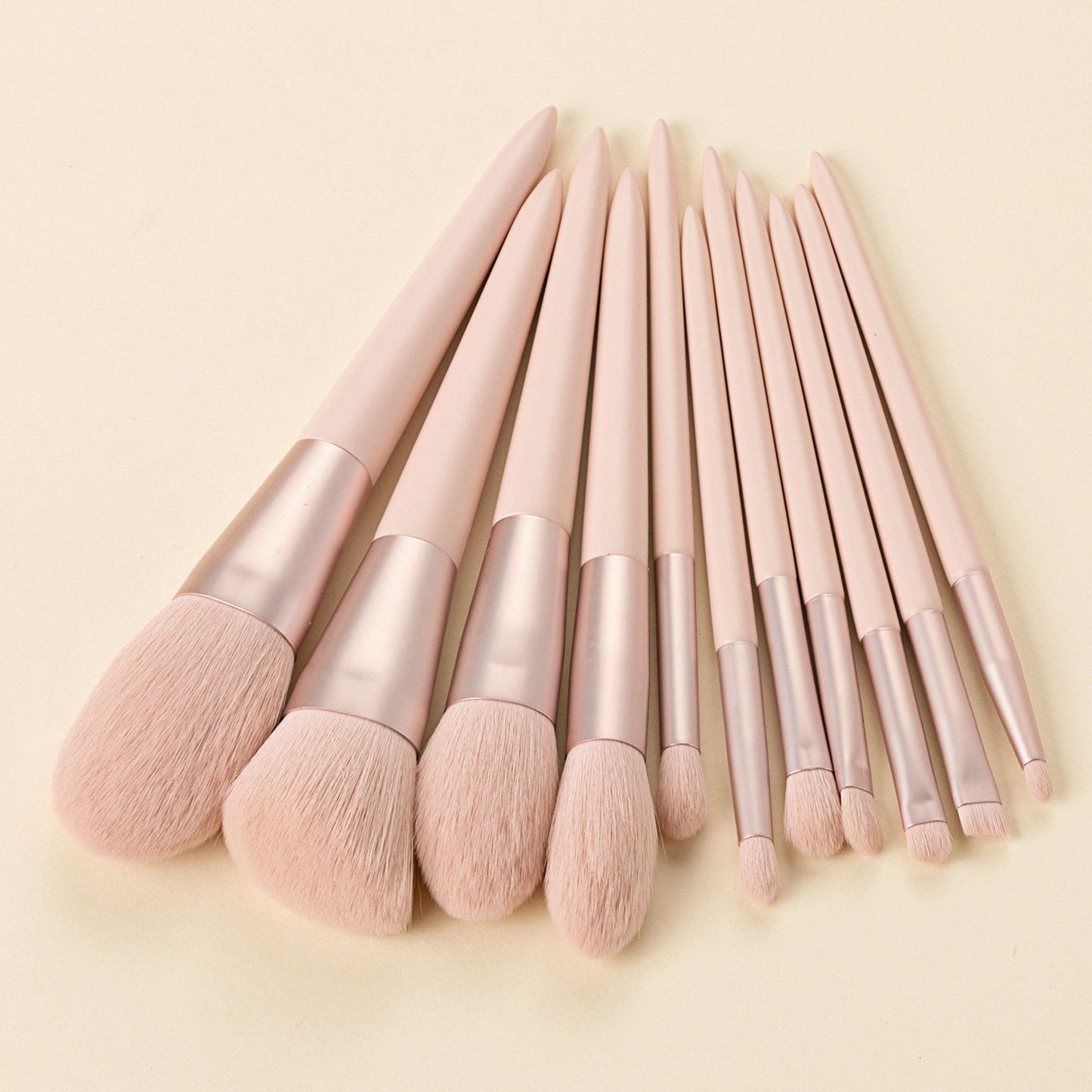 Set of 11 Professional Makeup Brushes